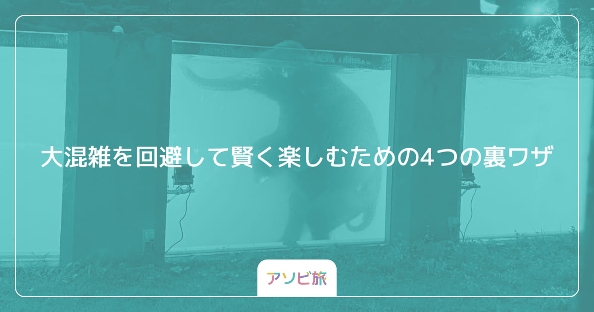 大混雑を回避して賢く楽しむための4つの裏ワザ