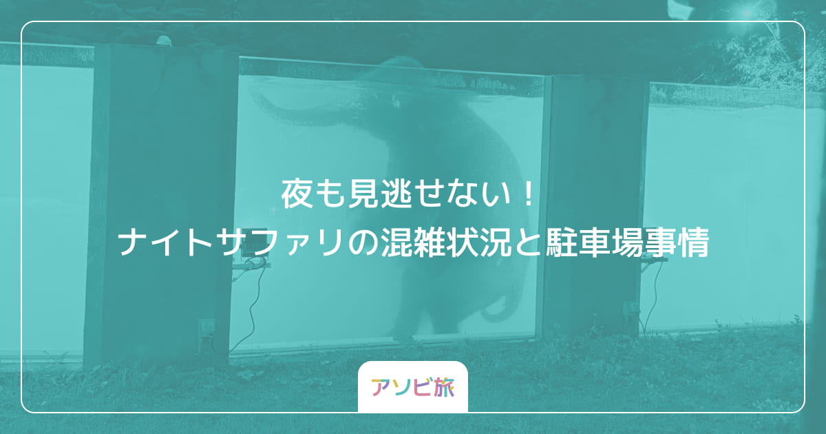 夜も見逃せない！ナイトサファリの混雑状況と駐車場事情
