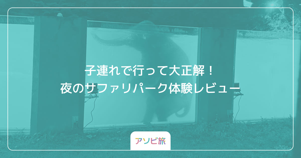 子連れで行って大正解！夜のサファリパーク体験レビュー