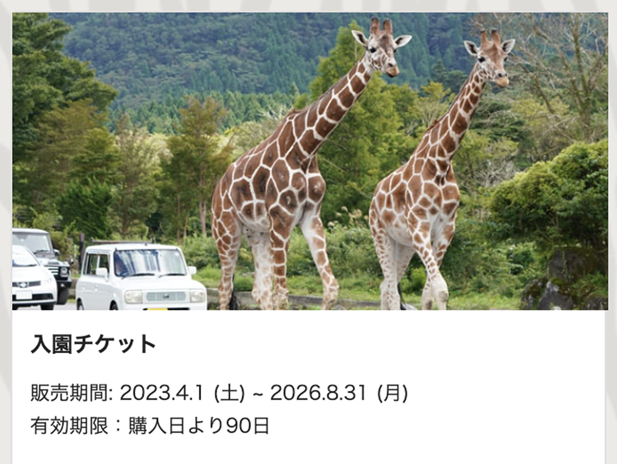 富士サファリパーク 入園チケット