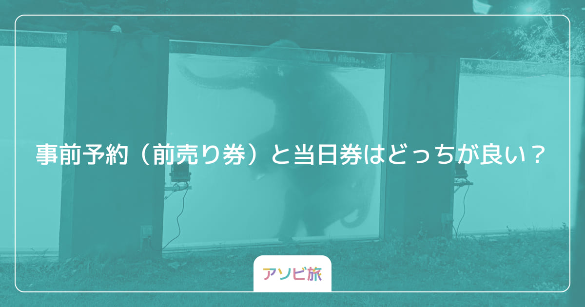 事前予約（前売り券）と当日券はどっちが良い？
