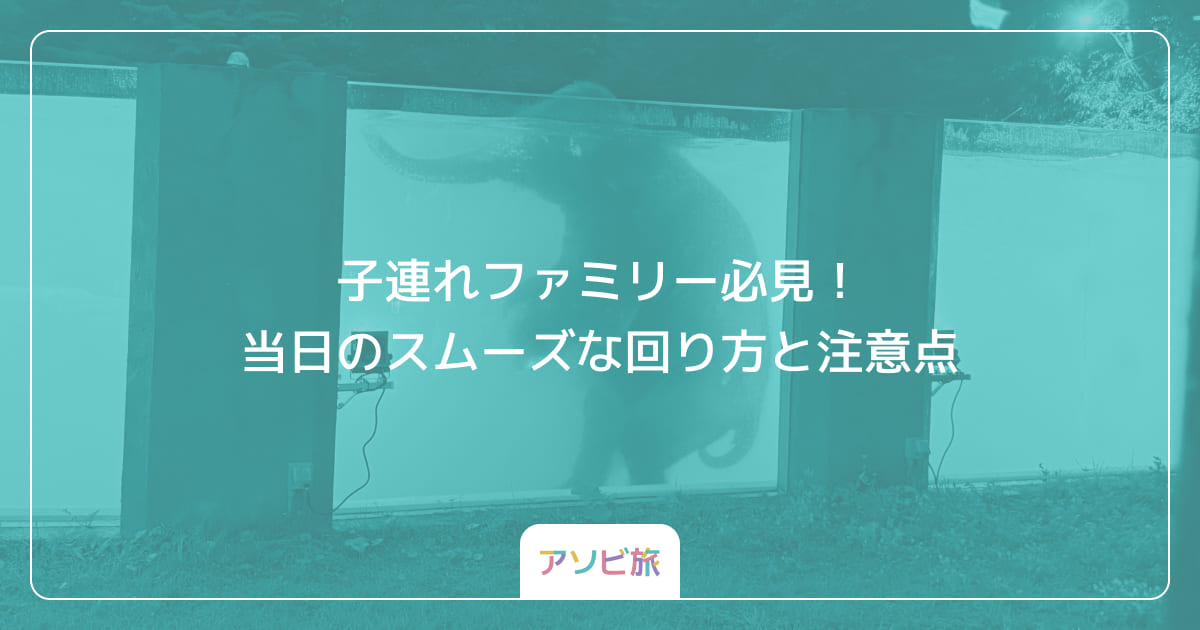 子連れファミリー必見！当日のスムーズな回り方と注意点