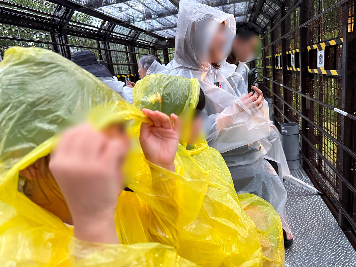 富士サファリパーク 我が家は雨の中でバスツアーを体験