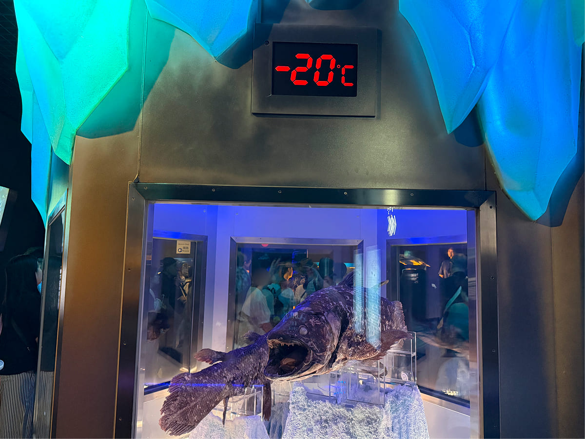 沼津港深海水族館 -20度の冷凍シーラカンス