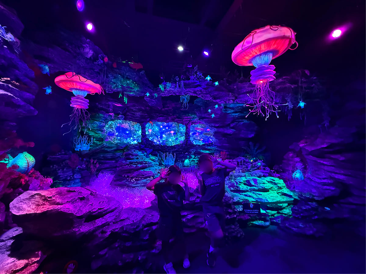 沼津港深海水族館 イマーシブディープシーワールド