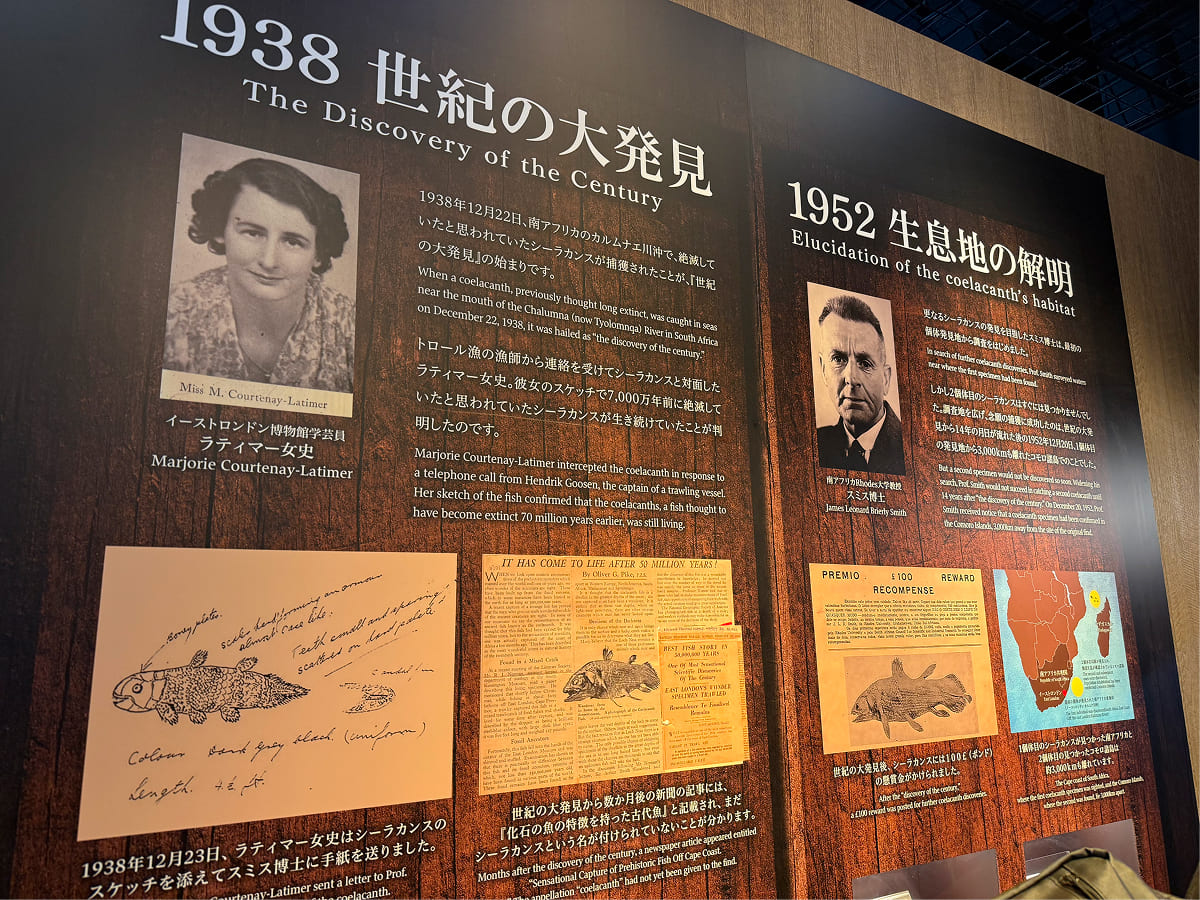 沼津港深海水族館 シーラカンス発見の解説パネル