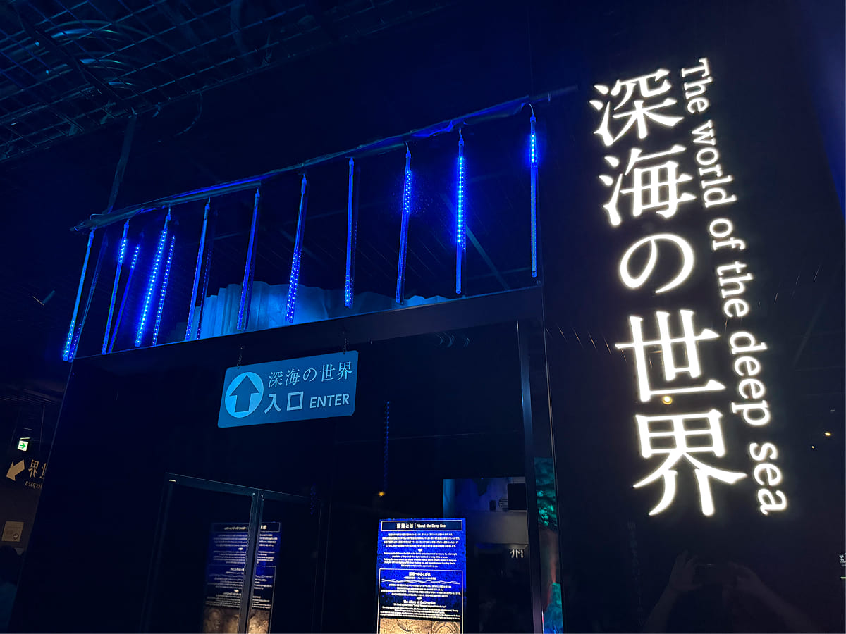 沼津港深海水族館 2階にある深海の世界