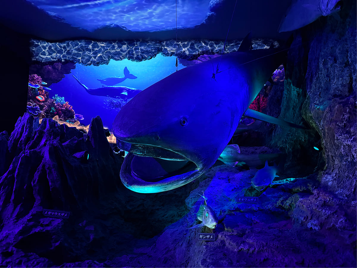 沼津港深海水族館 2階の深海の世界