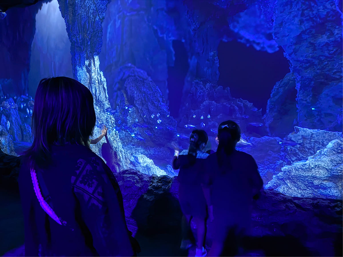 沼津港深海水族館 映像をタッチして楽しめる体験型エリア