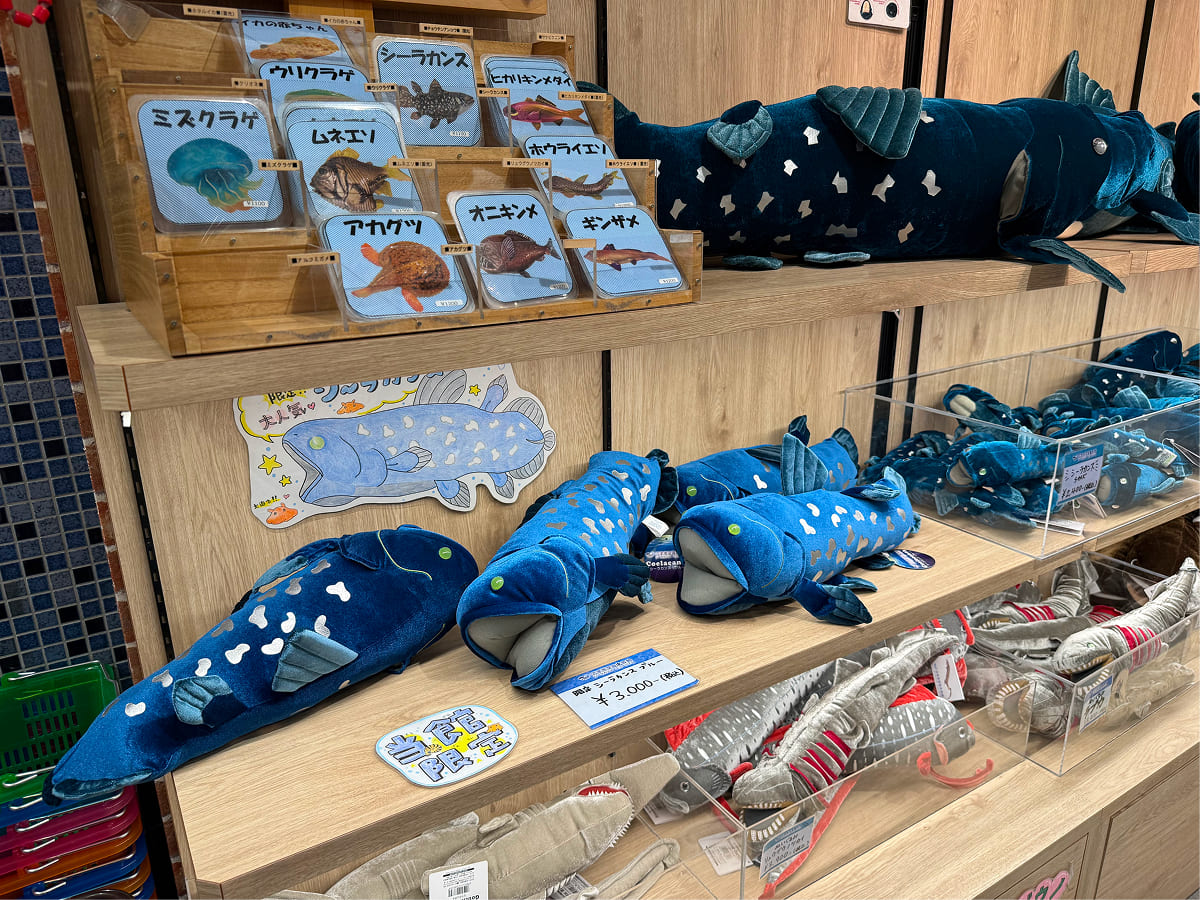 沼津港深海水族館 シーラカンスのぬいぐるみ