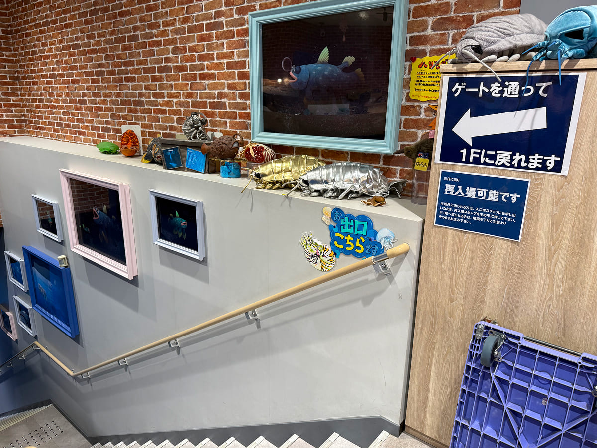 沼津港深海水族館 ミュージアムショップ出口付近の階段