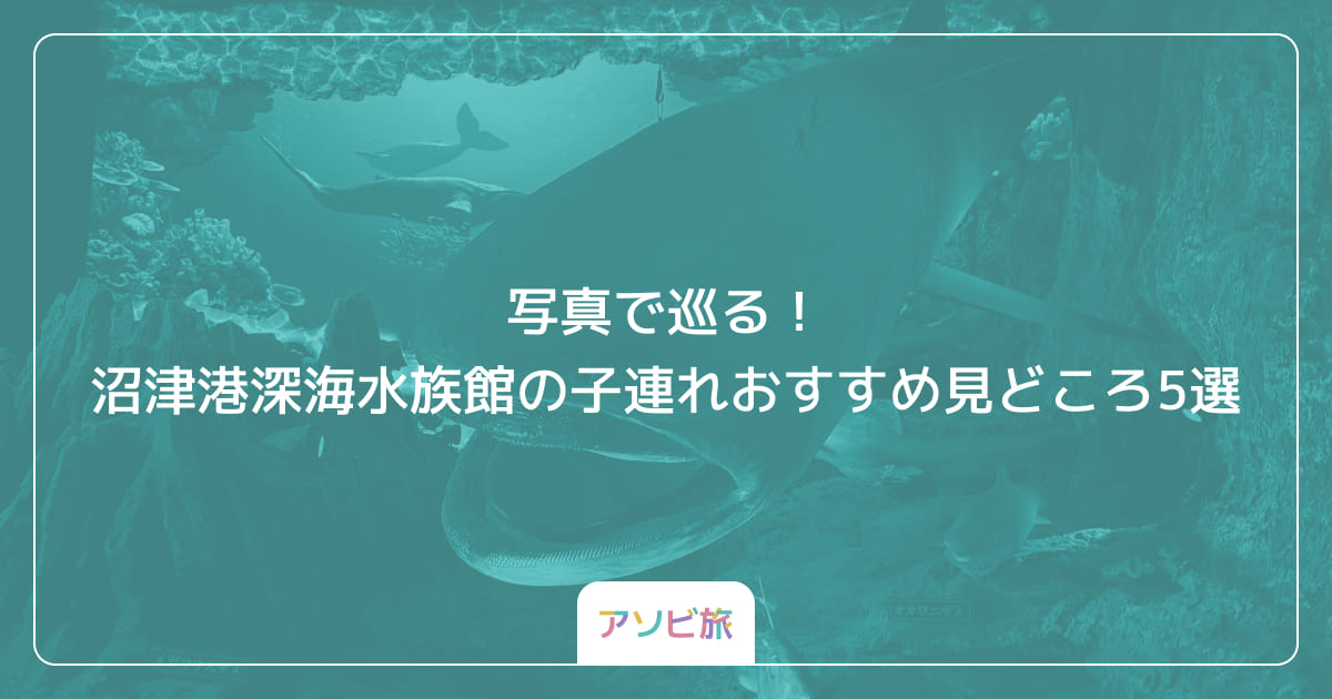 写真で巡る！沼津港深海水族館の子連れおすすめ見どころ5選