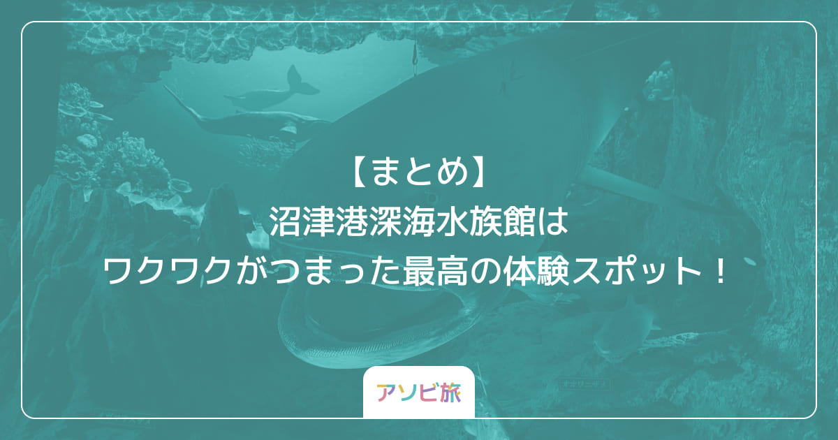 【まとめ】沼津港深海水族館はワクワクがつまった最高の体験スポット！