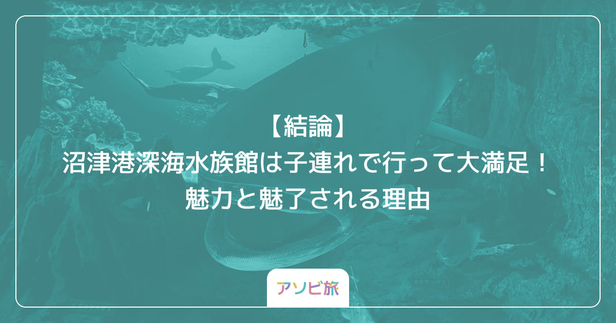 【結論】沼津港深海水族館は子連れで行って大満足！魅力と魅了される理由