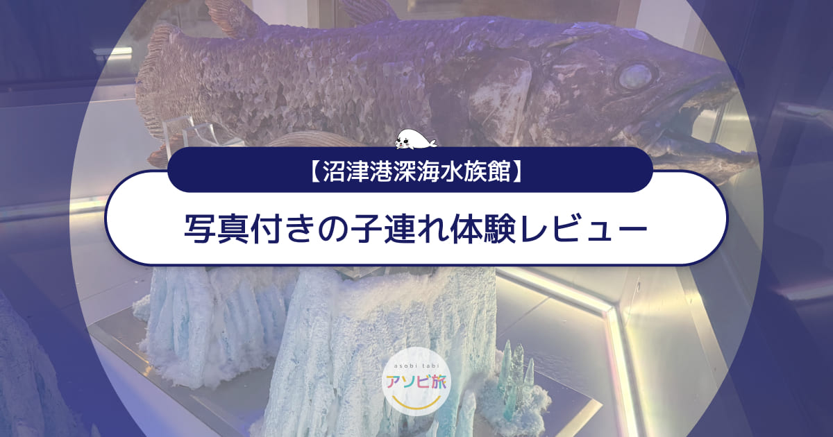 沼津港深海水族館の写真付き体験レビュー！子連れで楽しむ見どころ解説