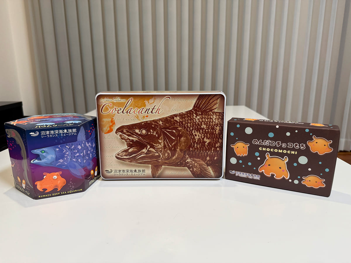 沼津港深海水族館 我が家が買ったお菓子