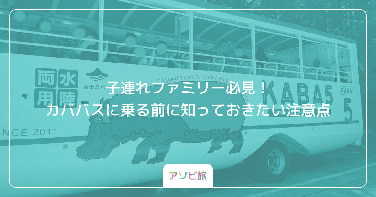 子連れファミリー必見！カババスに乗る前に知っておきたい注意点