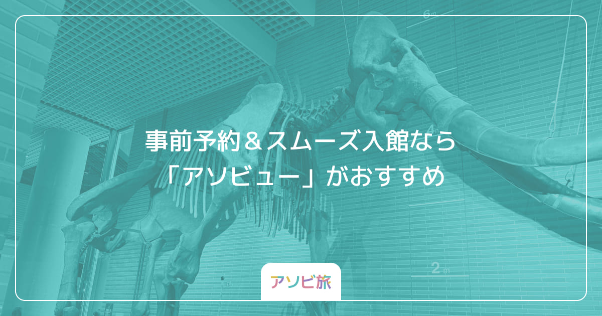 事前予約＆スムーズ入館なら「アソビュー」がおすすめ