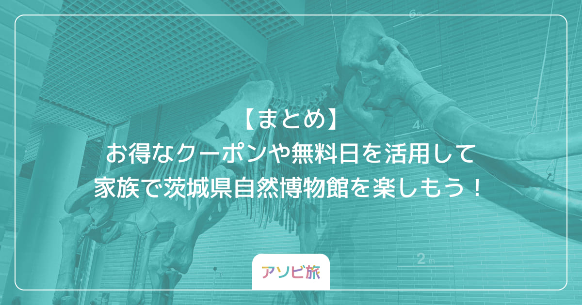 【まとめ】お得なクーポンや無料日を活用して家族で茨城県自然博物館を楽しもう！