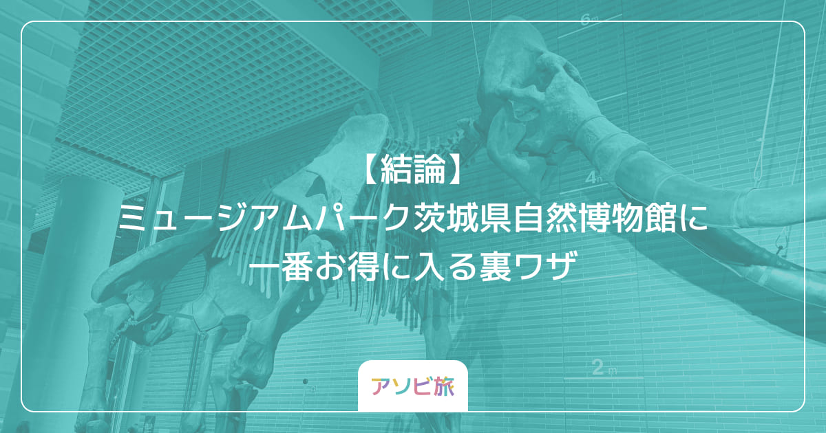 【結論】ミュージアムパーク茨城県自然博物館に一番お得に入る裏ワザ