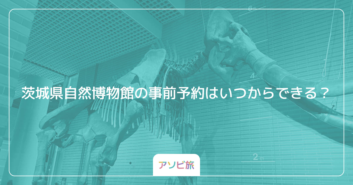 茨城県自然博物館の事前予約はいつからできる？