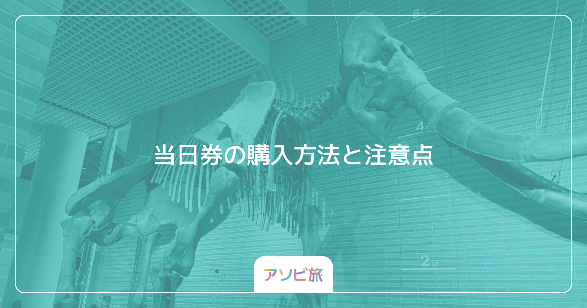 当日券の購入方法と注意点