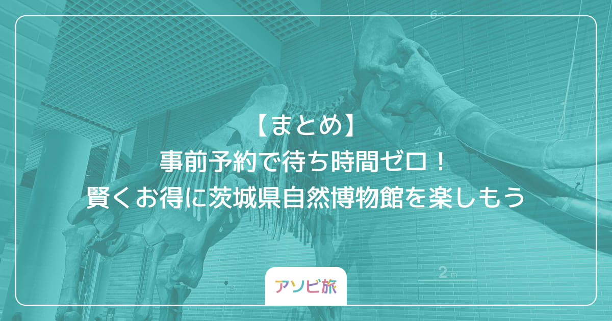 【まとめ】事前予約で待ち時間ゼロ！賢くお得に茨城県自然博物館を楽しもう