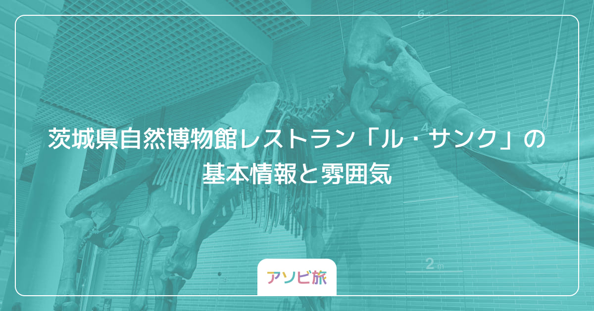 茨城県自然博物館レストラン「ル・サンク」の基本情報と雰囲気