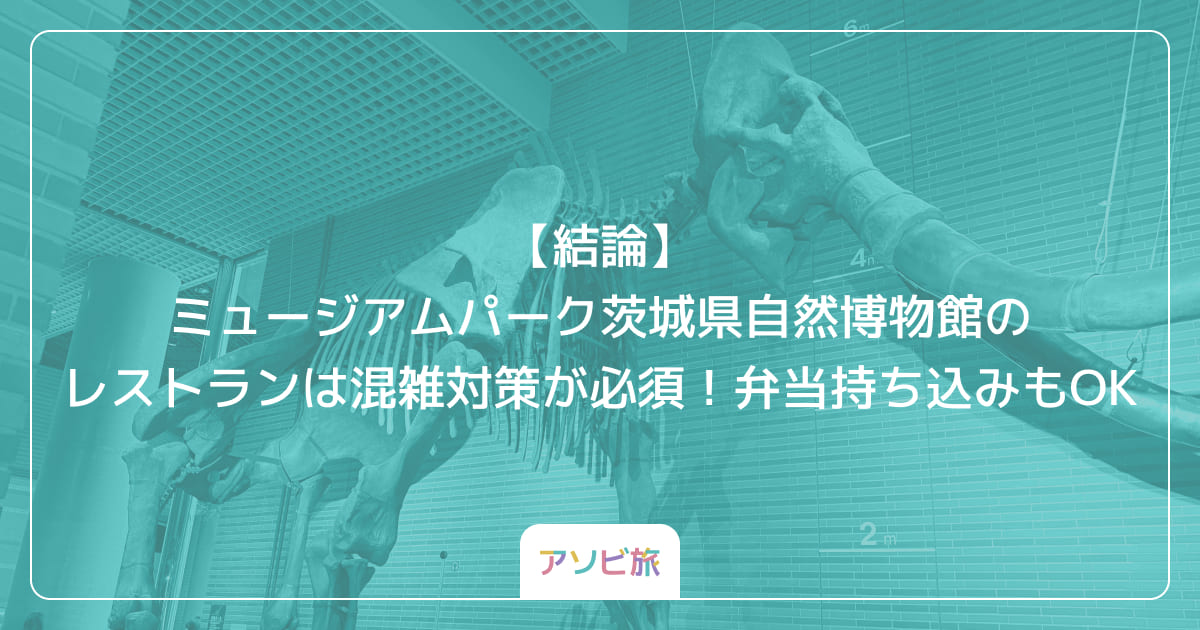 【結論】ミュージアムパーク茨城県自然博物館のレストランは混雑対策が必須！弁当持ち込みもOK