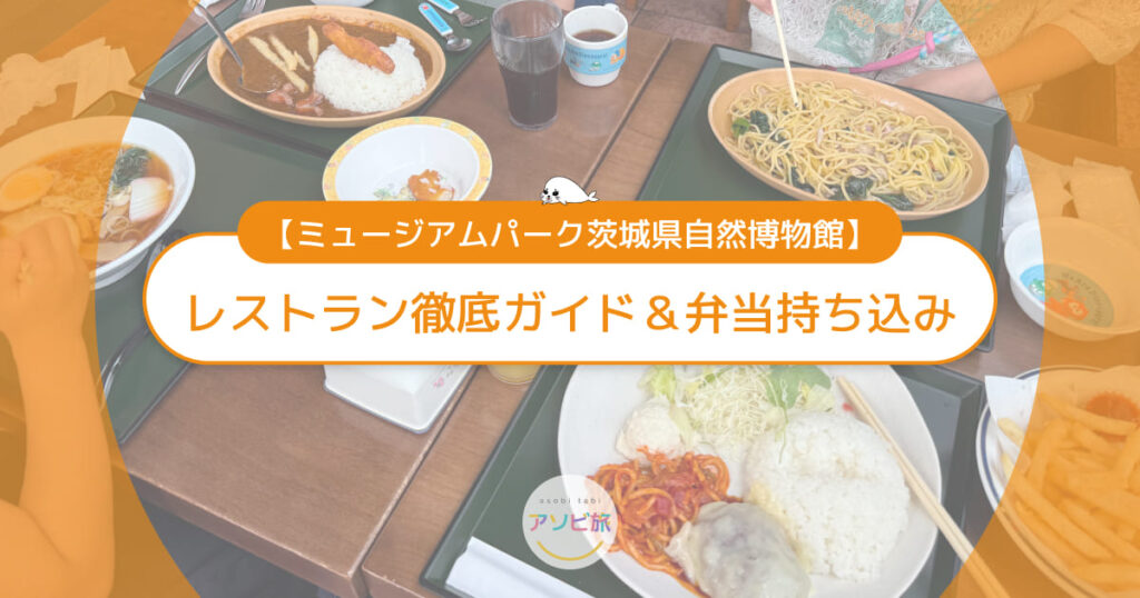 茨城県自然博物館のレストラン徹底ガイド！混雑回避のコツ＆弁当持ち込み場所