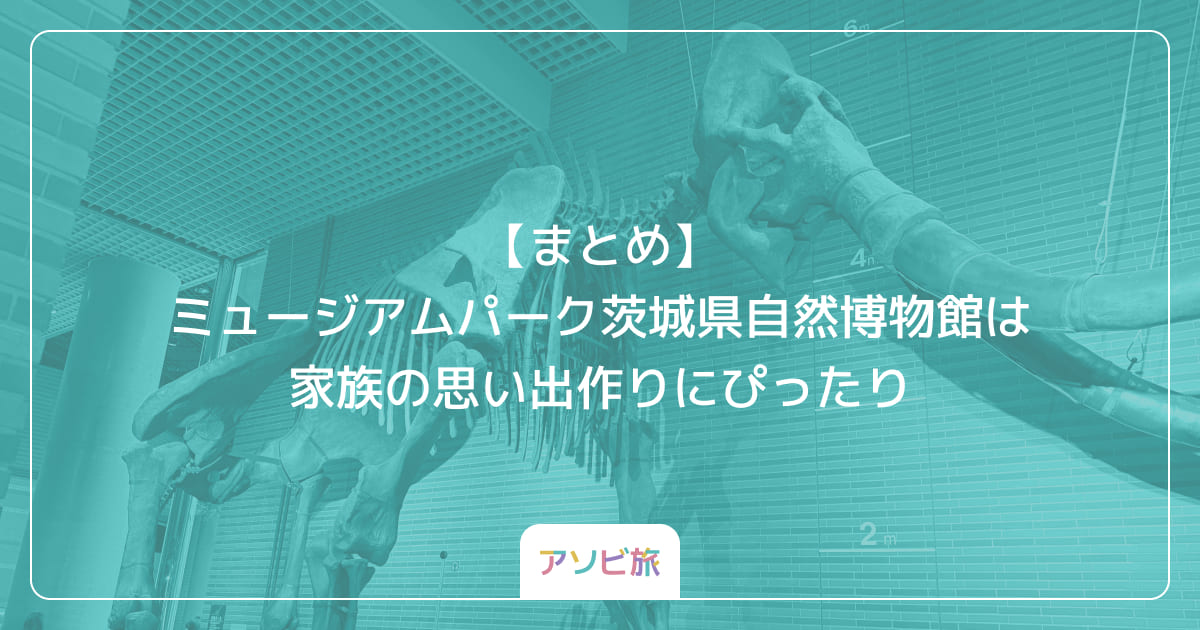 【まとめ】ミュージアムパーク茨城県自然博物館は家族の思い出作りにぴったり