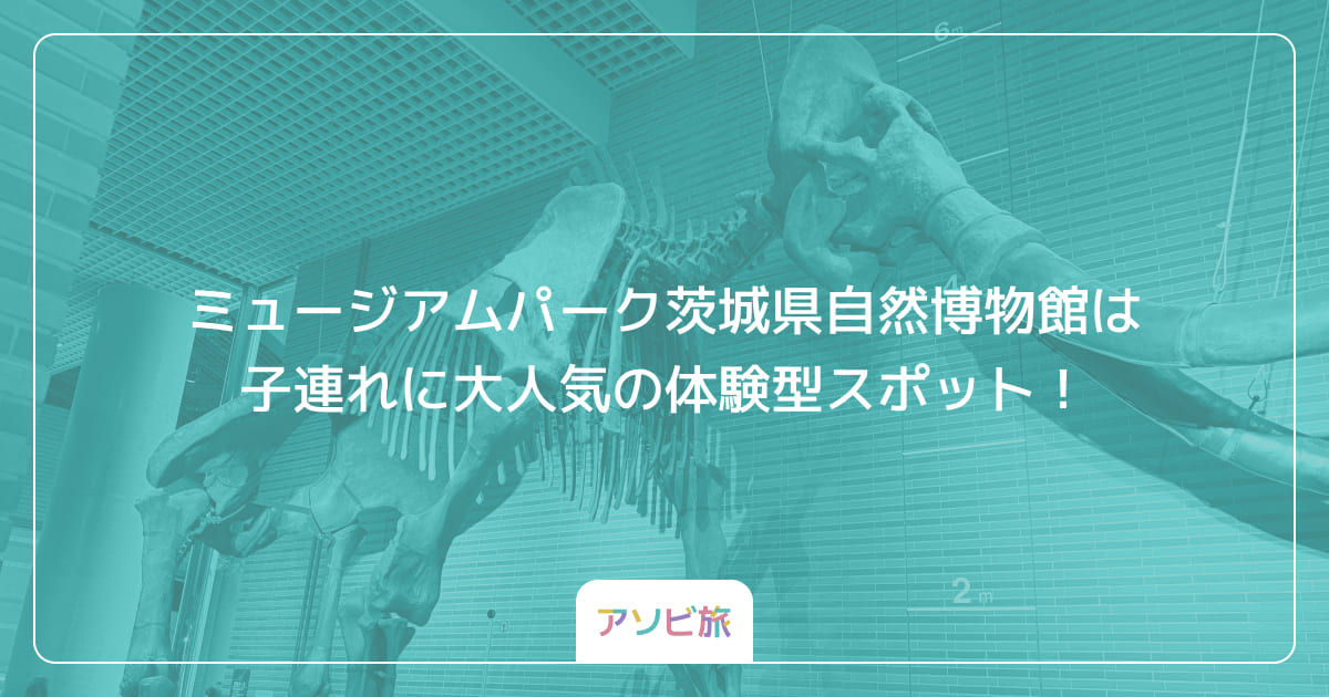 ミュージアムパーク茨城県自然博物館は子連れに大人気の体験型スポット！