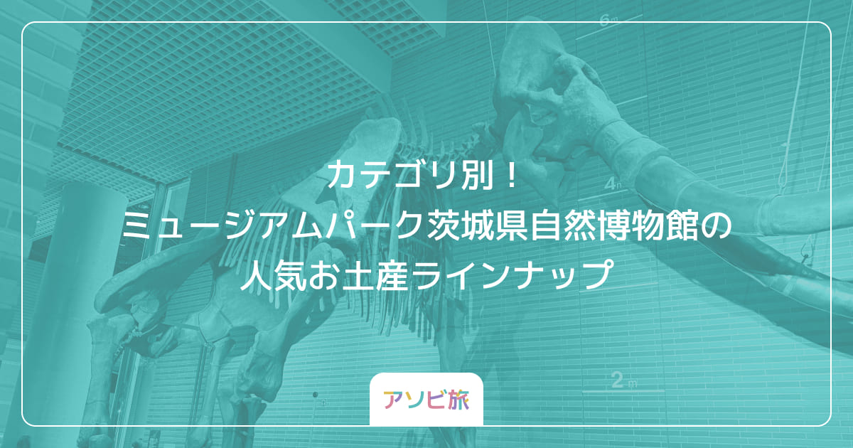 カテゴリ別！ミュージアムパーク茨城県自然博物館の人気お土産ラインナップ
