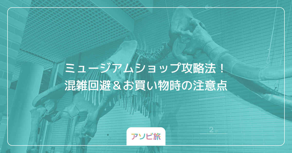 ミュージアムショップ攻略法！混雑回避＆お買い物時の注意点