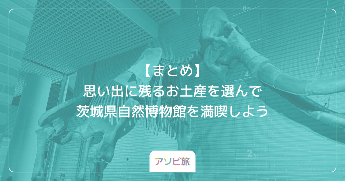【まとめ】思い出に残るお土産を選んで茨城県自然博物館を満喫しよう