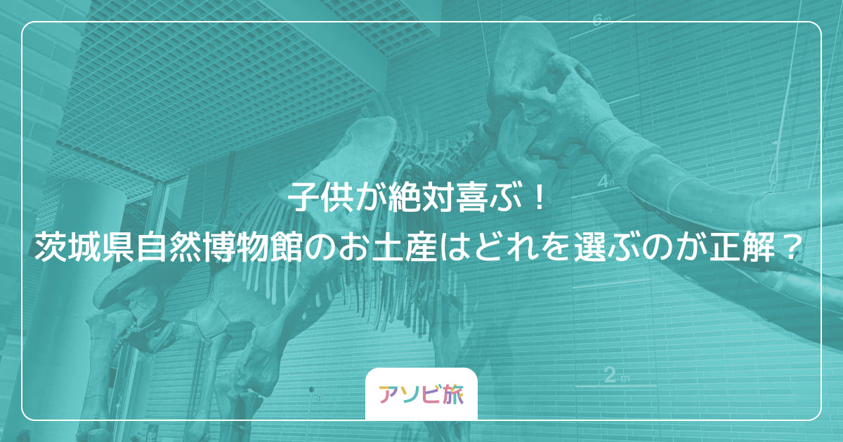 子供が絶対喜ぶ！茨城県自然博物館のお土産はどれを選ぶのが正解？