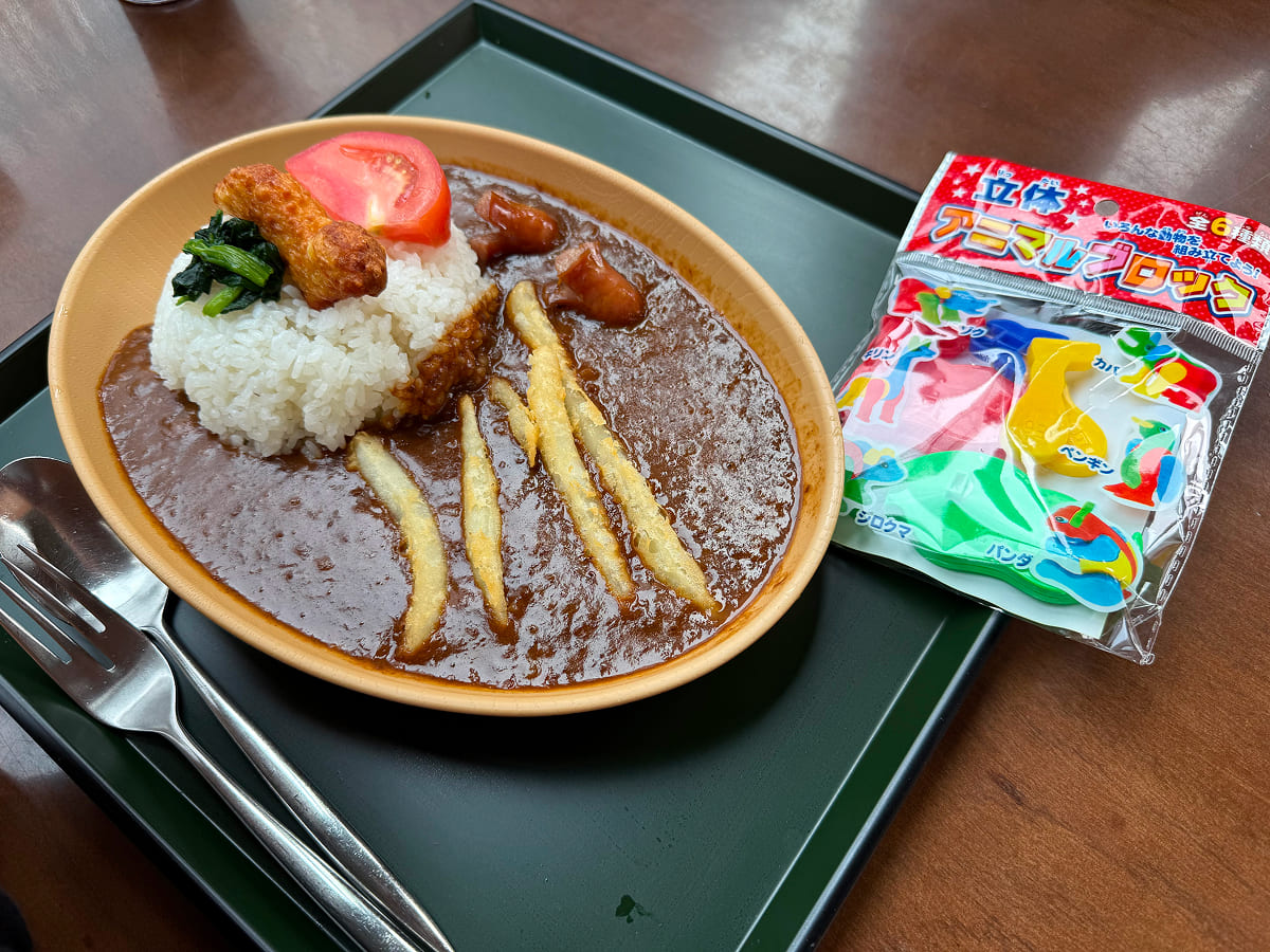 茨城県自然博物館 レストラン ル・サンクで我が家が注文した恐竜カレー