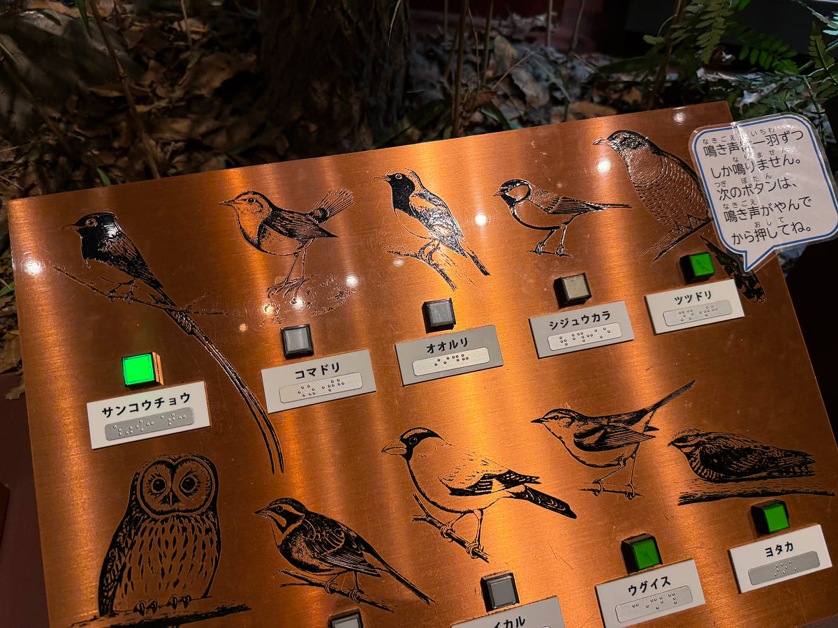 茨城県自然博物館 第3展示室自然のしくみの体験コーナー