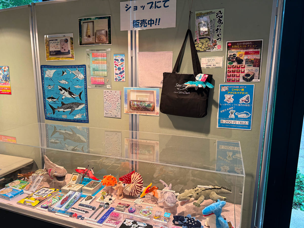 茨城県自然博物館 ミュージアムショップで特別展専用グッズも販売