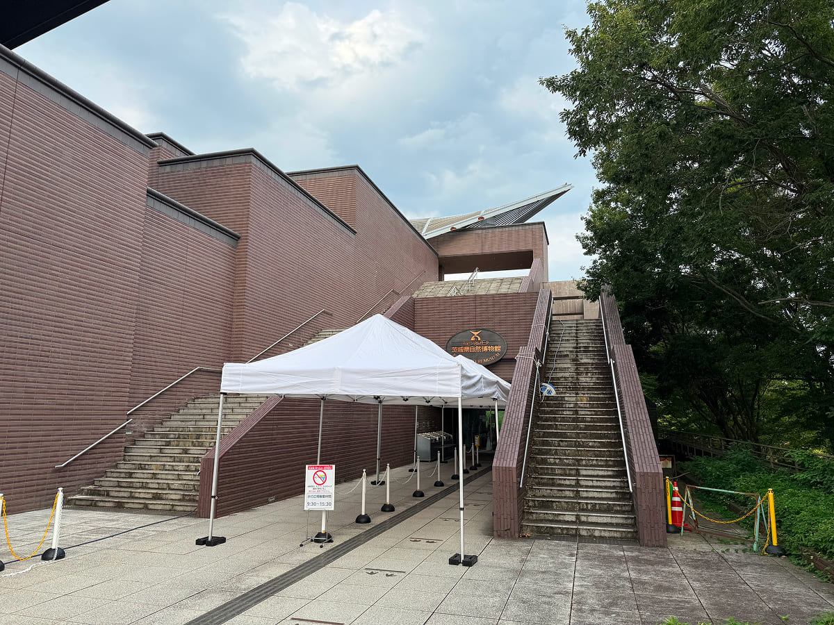 茨城県自然博物館