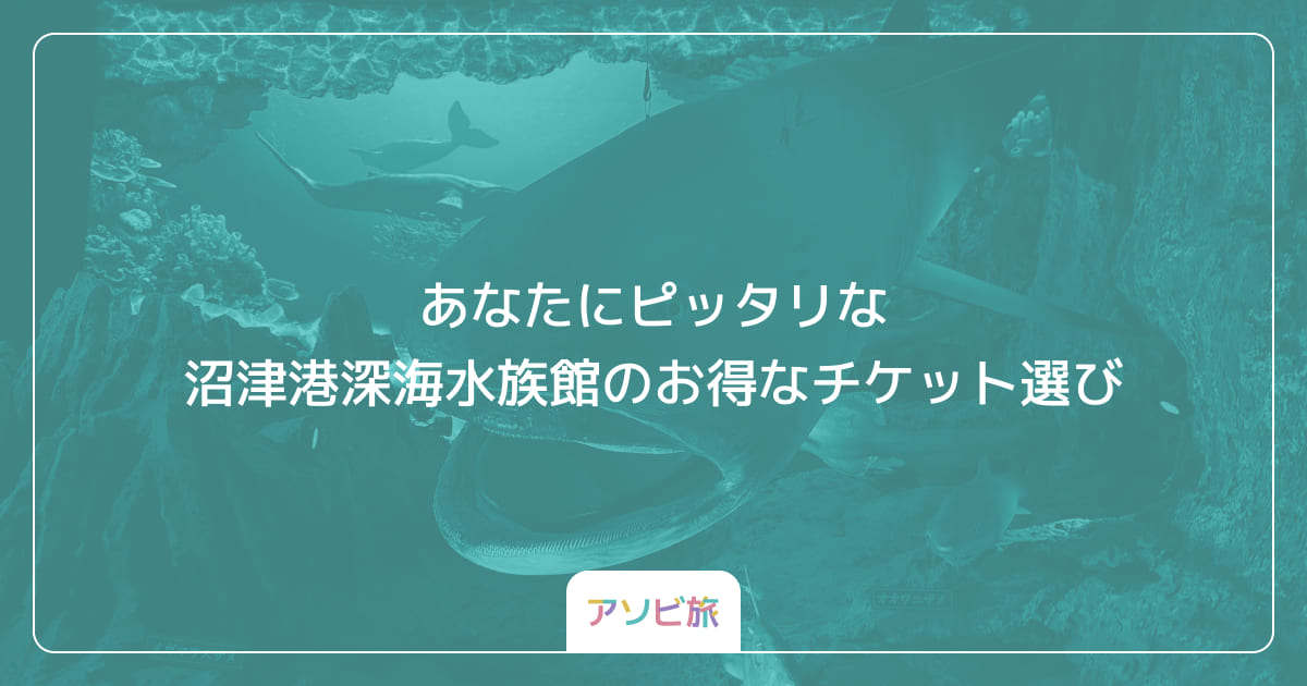 あなたにピッタリな沼津港深海水族館のお得なチケット選び
