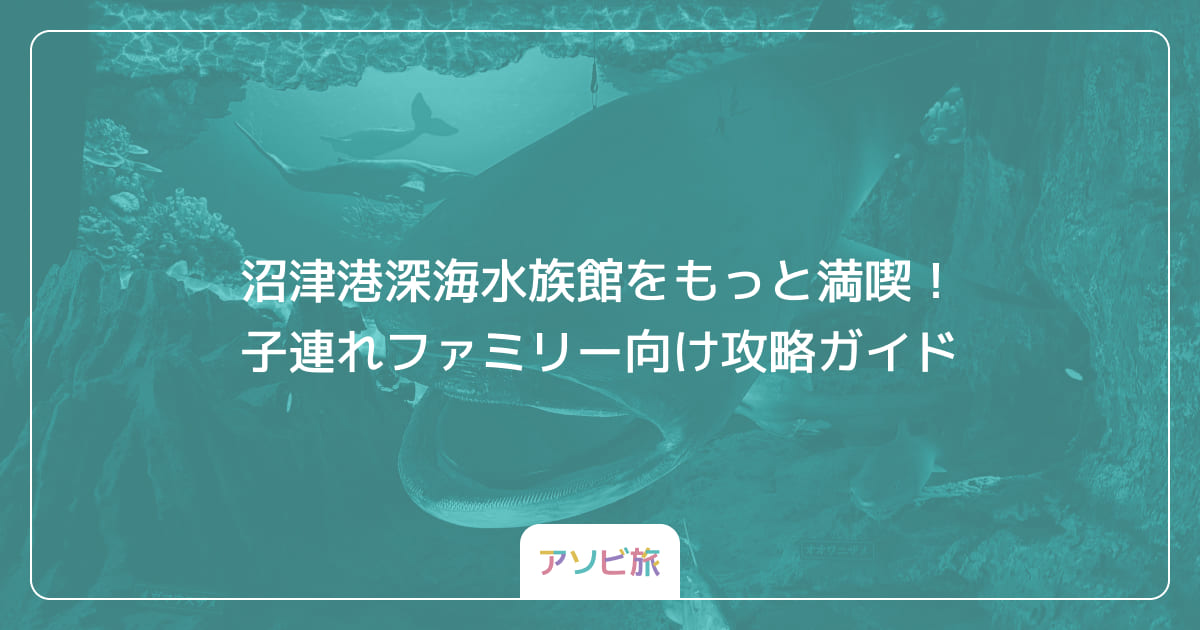 沼津港深海水族館をもっと満喫！子連れファミリー向け攻略ガイド