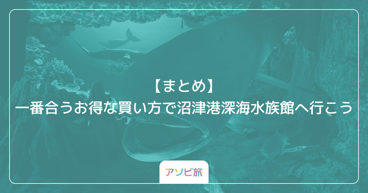 【まとめ】一番合うお得な買い方で沼津港深海水族館へ行こう