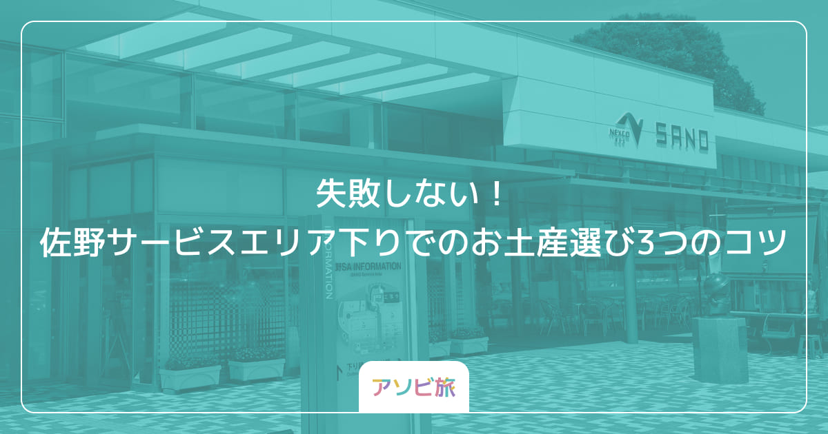 失敗しない！佐野サービスエリア下りでのお土産選び3つのコツ