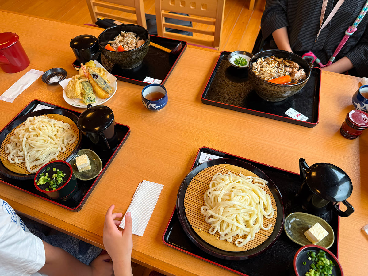 たくみの郷 子どもはざるうどんを注文