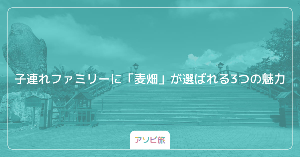 子連れファミリーに「麦畑」が選ばれる3つの魅力