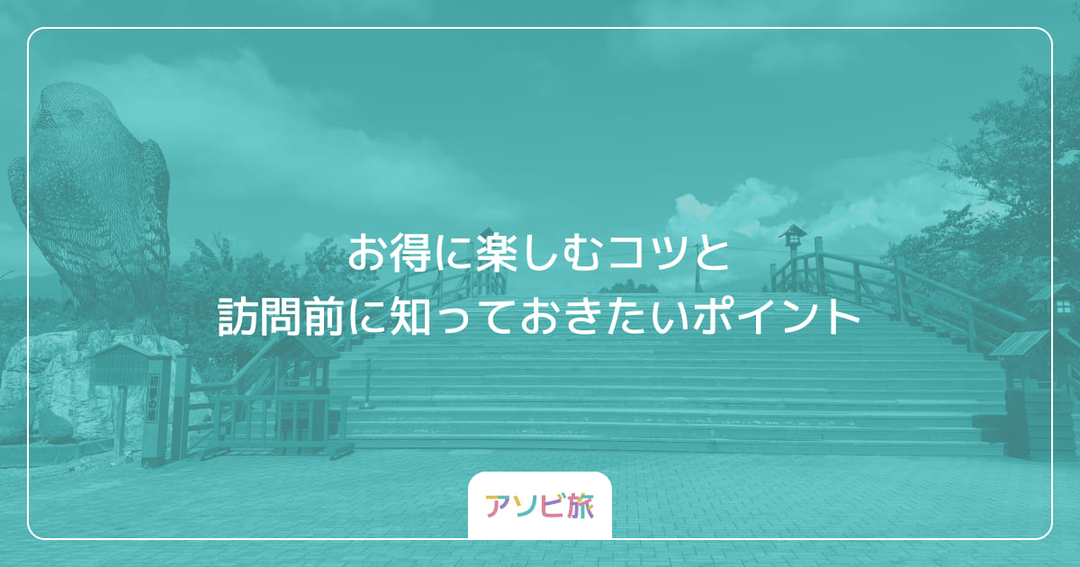 お得に楽しむコツと訪問前に知っておきたいポイント