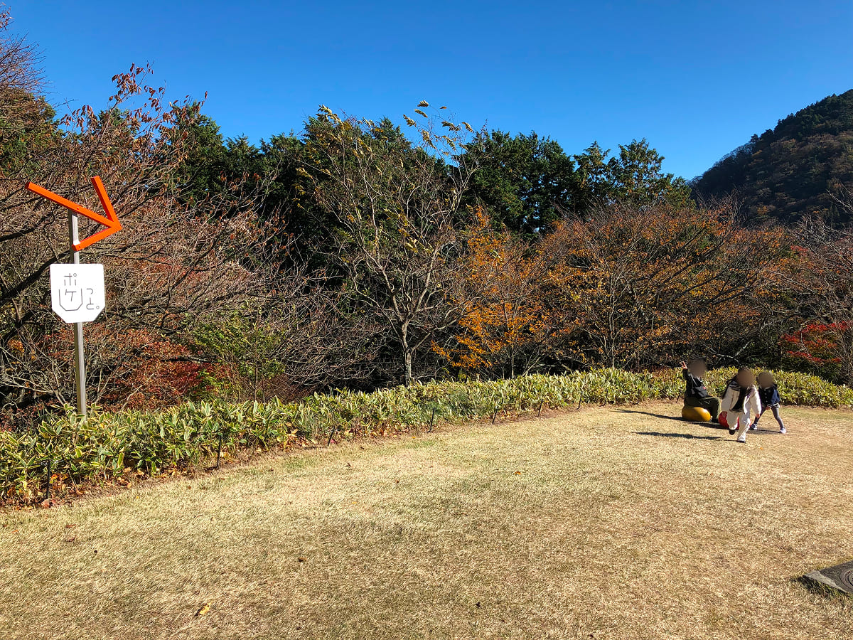 彫刻の森美術館 ポケっと入口付近