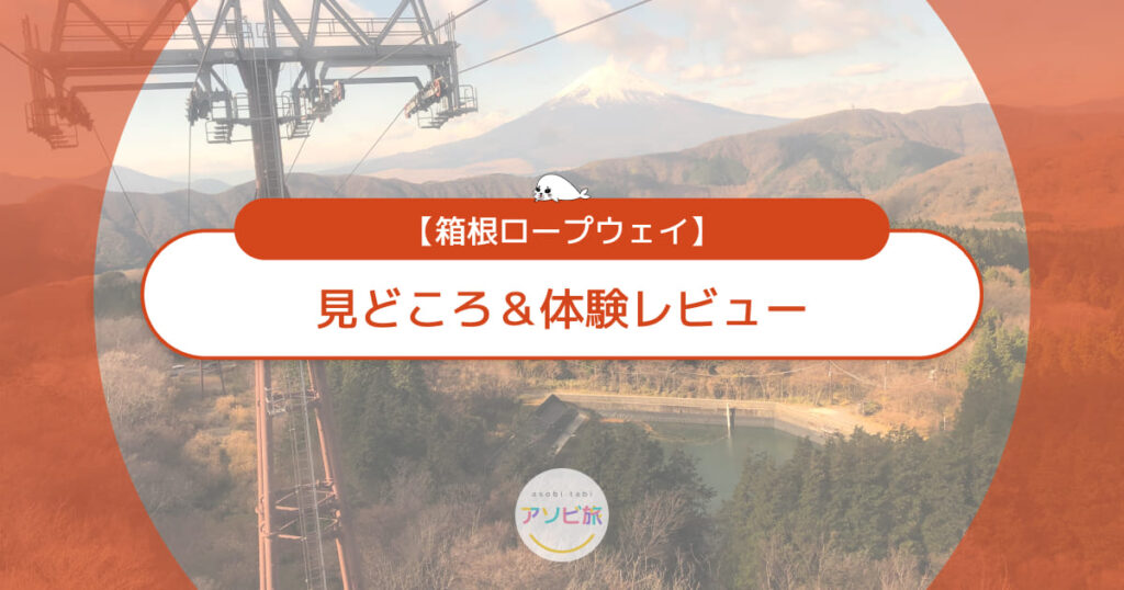 箱根ロープウェイの見どころ&体験レビュー!子連れ観光ガイドの決定版