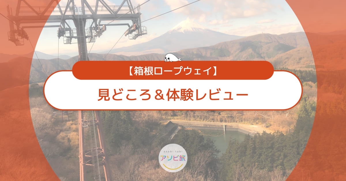 箱根ロープウェイの見どころ＆体験レビュー！子連れ観光ガイドの決定版